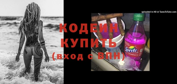 молекула духа Арсеньев