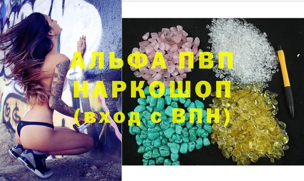 молекула духа Арсеньев